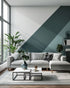 Decorative Paint Finishes