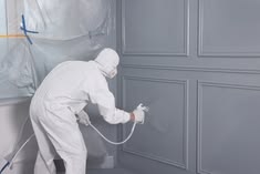 Premium Painting Services