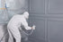Premium Painting Services